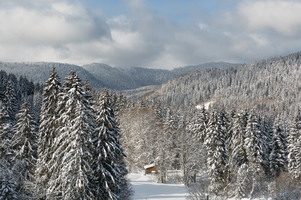 schwarzwald_winter