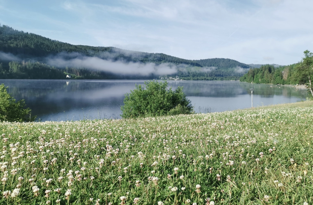 Outdoor Seehotel Wiesler_blumenwiese mit blick auf den titisee